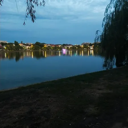 Πανσιόν Elena De Inchiriat 3*