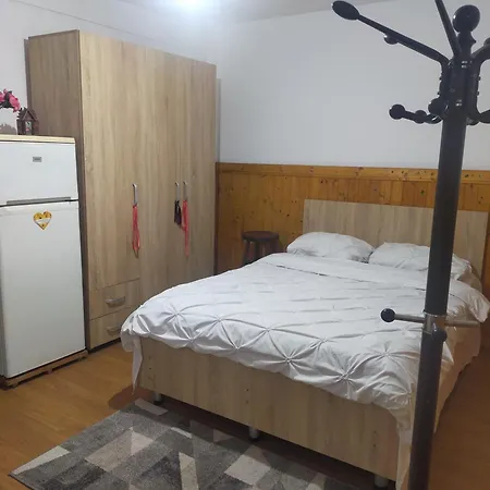 Πανσιόν Elena De Inchiriat 3*