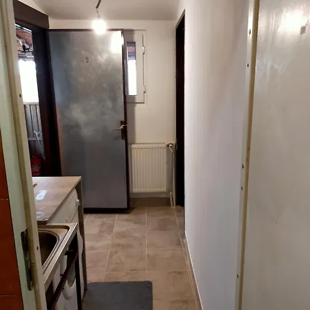 Elena De Inchiriat Bukarest