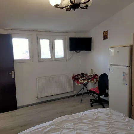 Elena De Inchiriat 3*