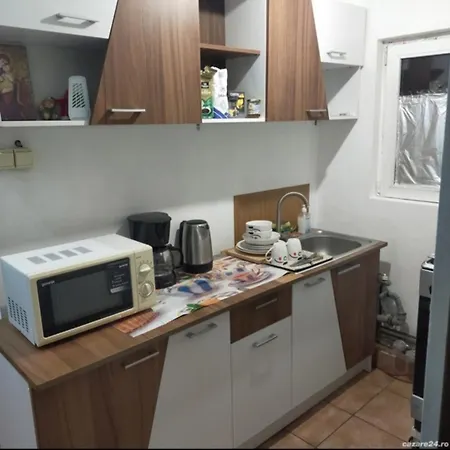 Πανσιόν Elena De Inchiriat Βουκουρέστι