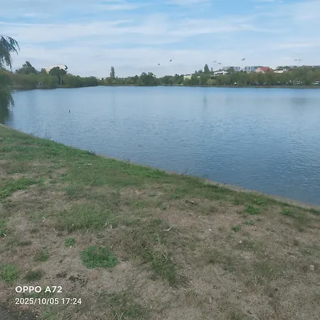 Casa Elena De Inchiriat Bucureşti