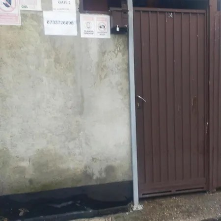 Elena De Inchiriat Bukareszt