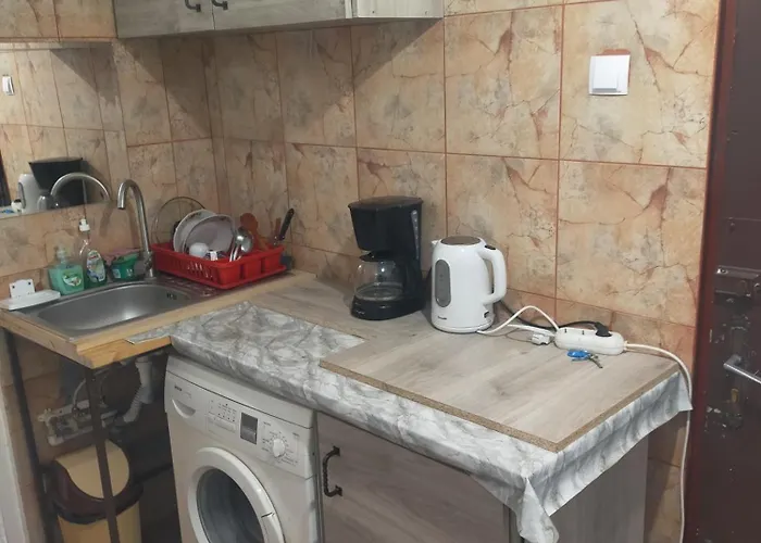 Casa Elena De Inchiriat Bucureşti