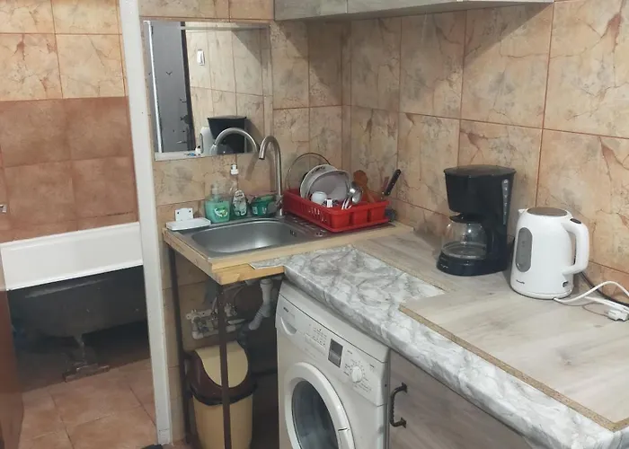 Casa Elena De Inchiriat Pensiune 3*