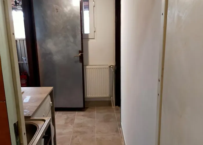 Casa Elena De Inchiriat Bucureşti