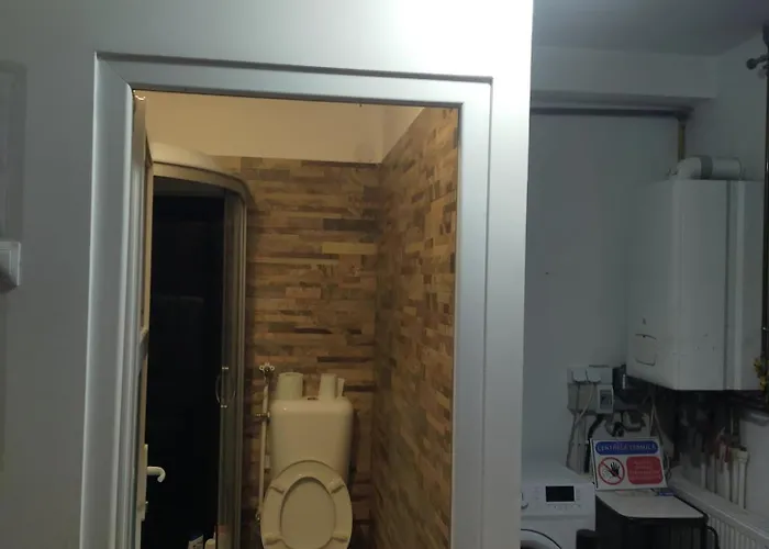 Casa Elena De Inchiriat 3* Bucureşti