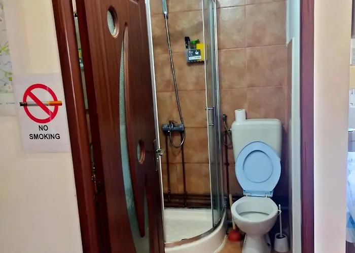 Pensiune Casa Elena De Inchiriat Bucureşti