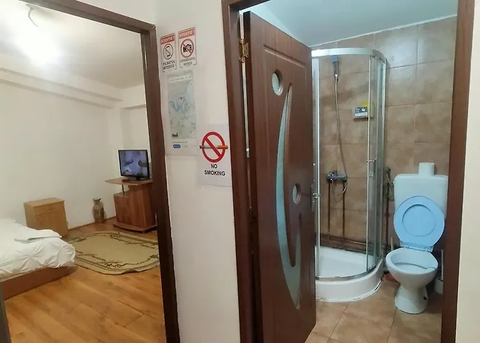 Pensiune Casa Elena De Inchiriat Bucureşti