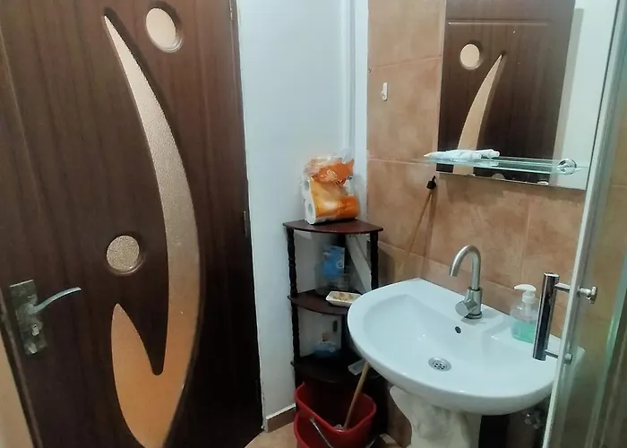 Pensiune Casa Elena De Inchiriat 3*