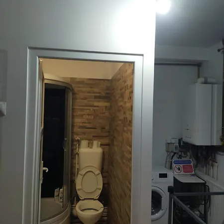 Elena De Inchiriat 3* בוקרשט