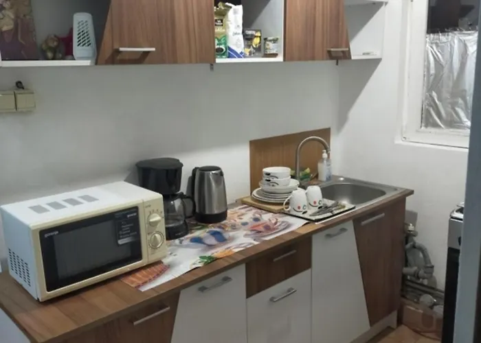 게스트하우스 Elena De Inchiriat 부쿠레슈티